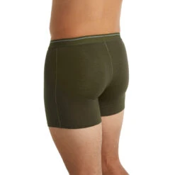 Icebreaker Heren Anatomica Weekdagen Boxer -Milani CMP Winkel iview 1040322 065 pic11