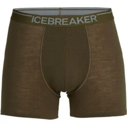 Icebreaker Heren Anatomica Weekdagen Boxer